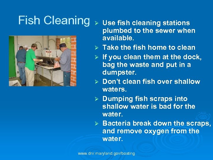 Fish Cleaning Ø Ø Ø Use fish cleaning stations plumbed to the sewer when