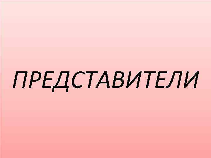 ПРЕДСТАВИТЕЛИ 