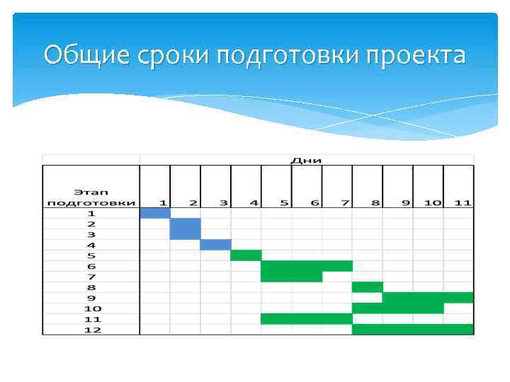 Общие сроки подготовки проекта 