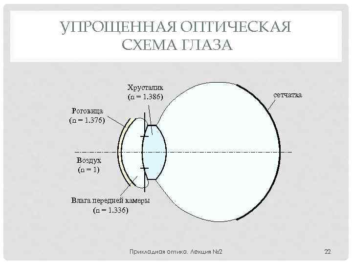 Оптическая структура глаза слева направо. Упрощенная оптическая схема глаза. Оптическая система глаза схема. Хрусталик это схема оптическая система глаза. Оптическая схема глаза хрусталик.