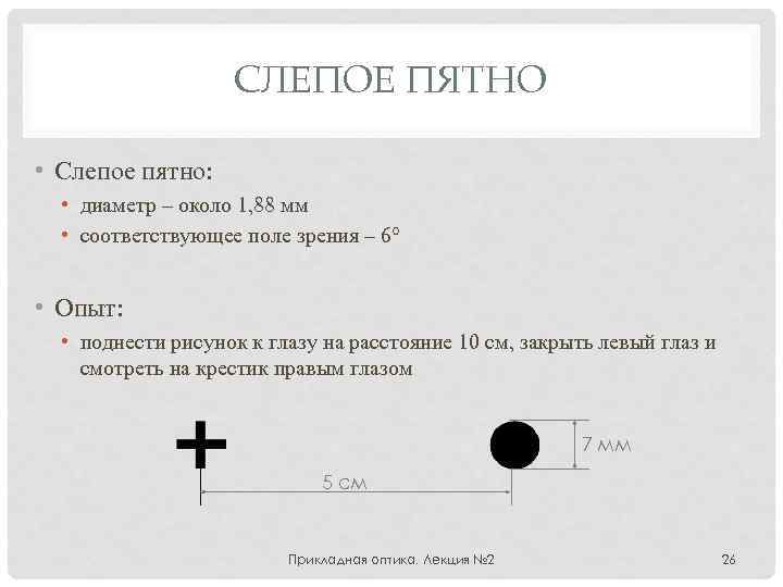 Что называют слепым пятном. Опыт Мариотта слепое пятно норма. Диаметр слепого пятна. Диаметр слепого пятна в норме. Слепое пятно строение.