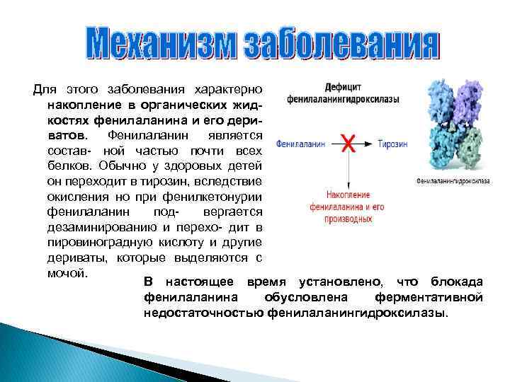 Для этого заболевания характерно накопление в органических жидкостях фенилаланина и его дериватов. Фенилаланин является