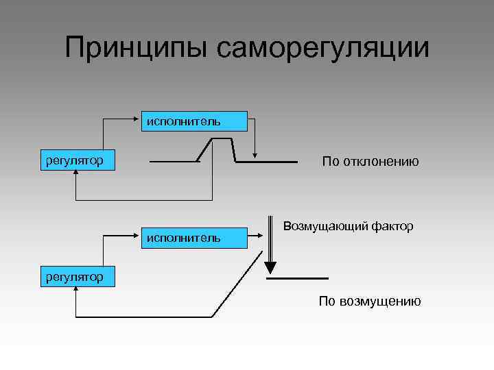 Принципы саморегуляции исполнитель регулятор По отклонению исполнитель Возмущающий фактор регулятор По возмущению 