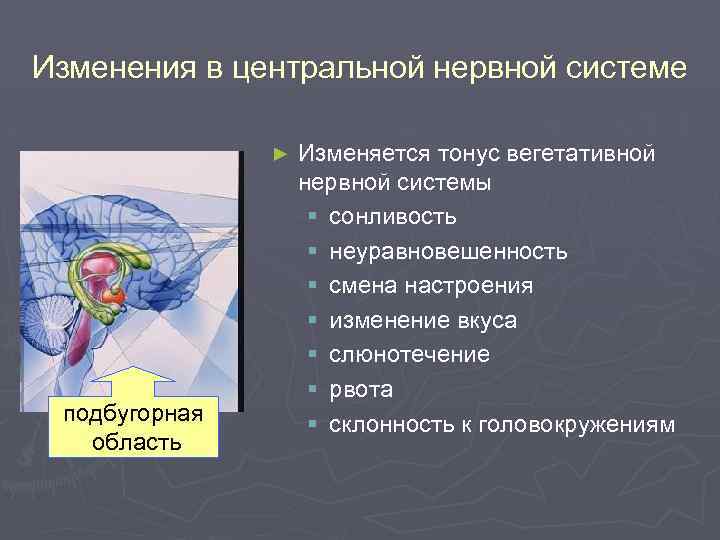Изменения в центральной нервной системе ► подбугорная область Изменяется тонус вегетативной нервной системы §