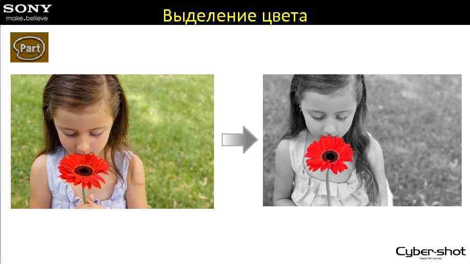 Выделение цвета 