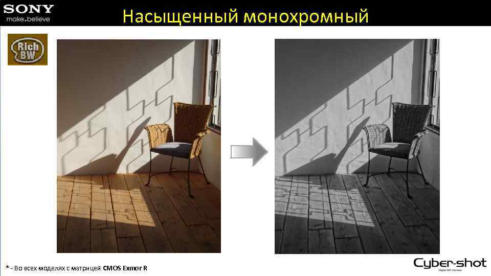 Насыщенный монохромный * - Во всех моделях с матрицей CMOS Exmor R 