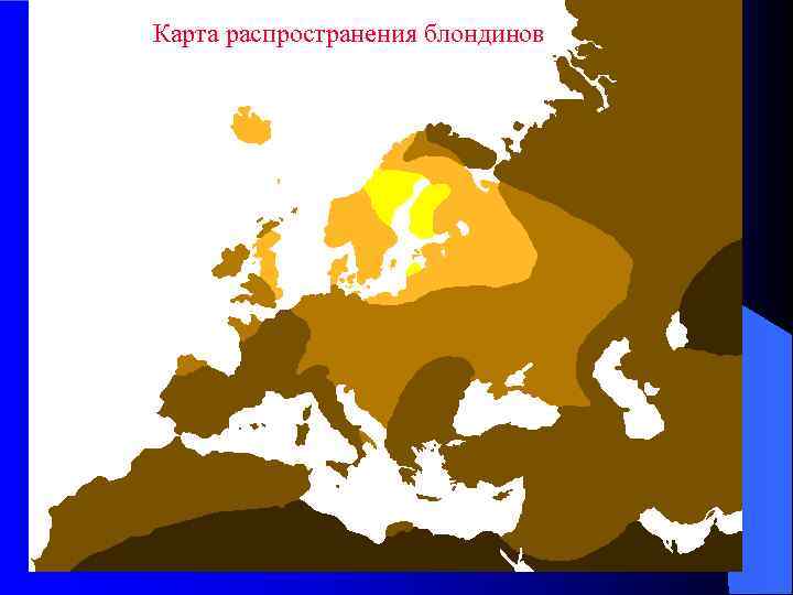 Карта распространения блондинов 