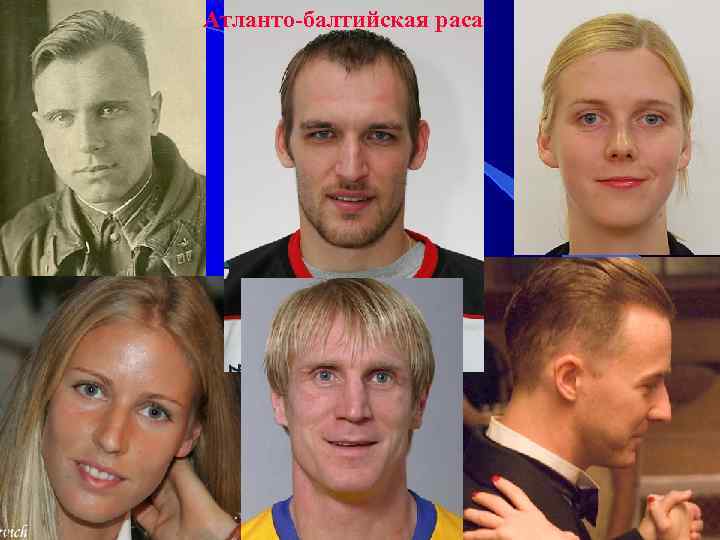 Атланто-балтийская раса 