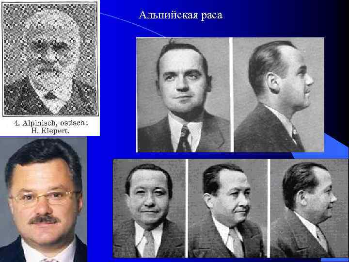 Альпийская раса 