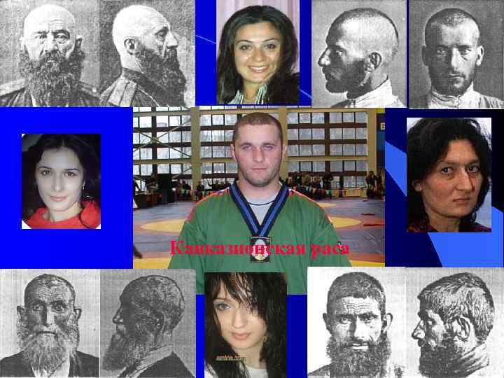 Кавказионская раса 