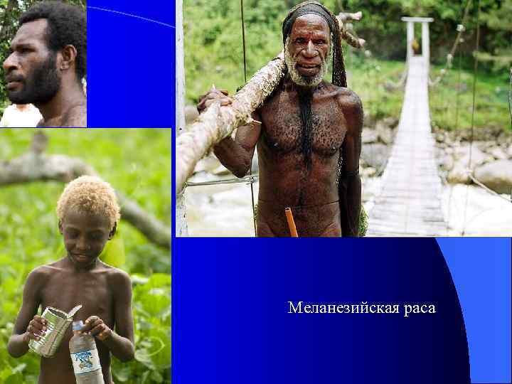Меланезийская раса 