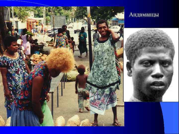 Андаманцы 