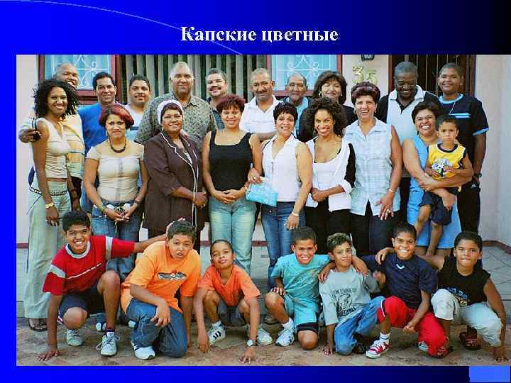 Капские цветные 