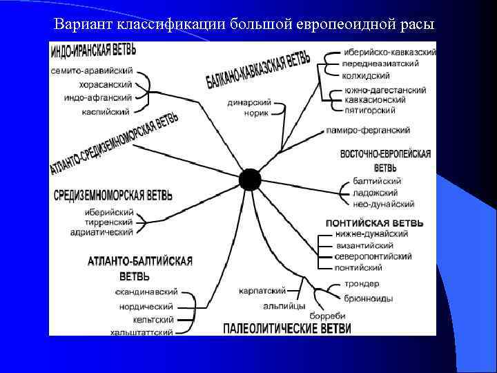 Большая классификация. Антропологическая классификация этносов. Классификации рас антропологическая. Классификация вариантов. 2.Антропологическая классификация.