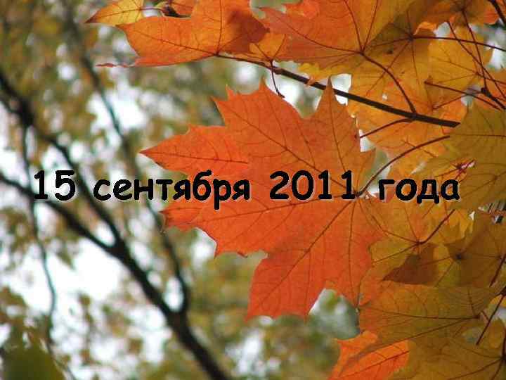 15 сентября 2011 года 