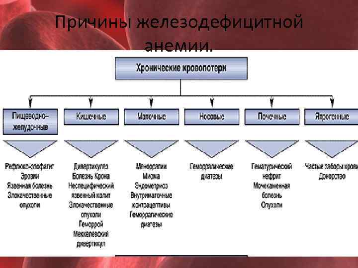Причины железодефицитной анемии. 