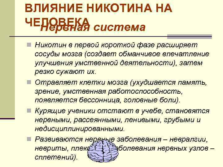 ВЛИЯНИЕ НИКОТИНА НА ЧЕЛОВЕКА система Нервная n Никотин в первой короткой фазе расширяет сосуды