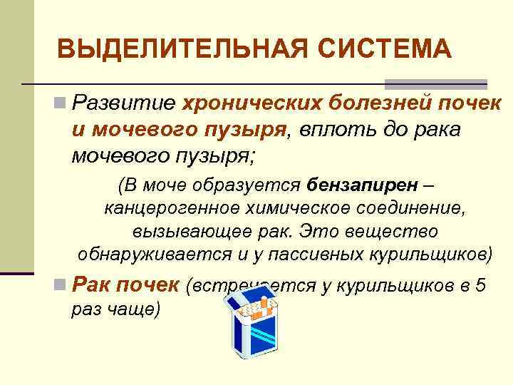 ВЫДЕЛИТЕЛЬНАЯ СИСТЕМА n Развитие хронических болезней почек и мочевого пузыря, вплоть до рака мочевого