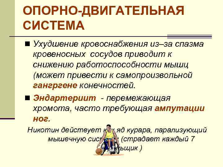 ОПОРНО-ДВИГАТЕЛЬНАЯ СИСТЕМА n Ухудшение кровоснабжения из–за спазма кровеносных сосудов приводит к снижению работоспособности мышц