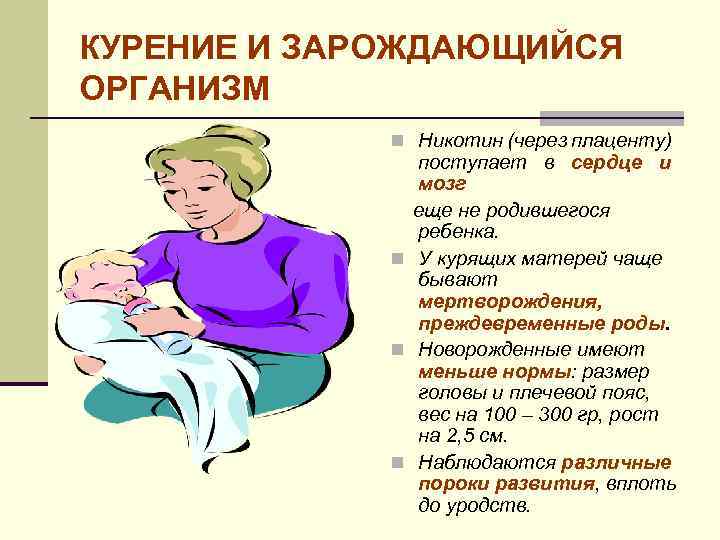 КУРЕНИЕ И ЗАРОЖДАЮЩИЙСЯ ОРГАНИЗМ n Никотин (через плаценту) поступает в сердце и мозг еще