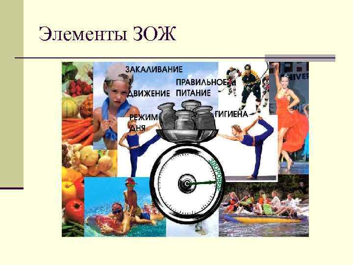 Элементы ЗОЖ 