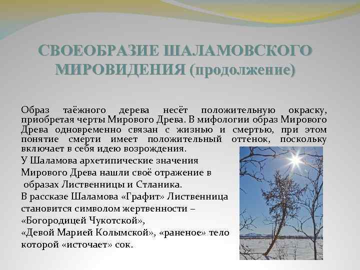 СВОЕОБРАЗИЕ ШАЛАМОВСКОГО МИРОВИДЕНИЯ (продолжение) Образ таёжного дерева несёт положительную окраску, приобретая черты Мирового Древа.