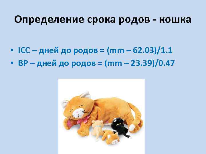 Определение срока родов - кошка • ICC – дней до родов = (mm –