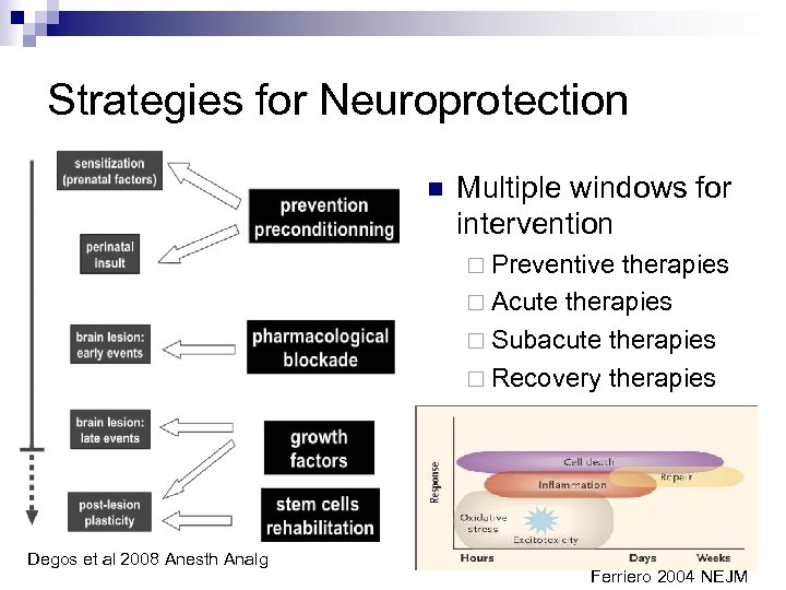 Strategies for Neuroprotection n Multiple windows for intervention ¨ Preventive therapies ¨ Acute therapies