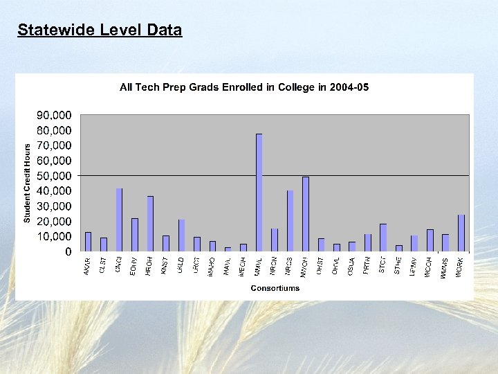 Statewide Level Data 