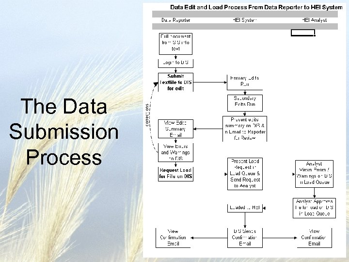 The Data Submission Process 