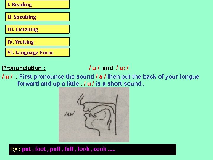 I. Reading II. Speaking III. Listening IV. Writing VI. Language Focus Pronunciation : /