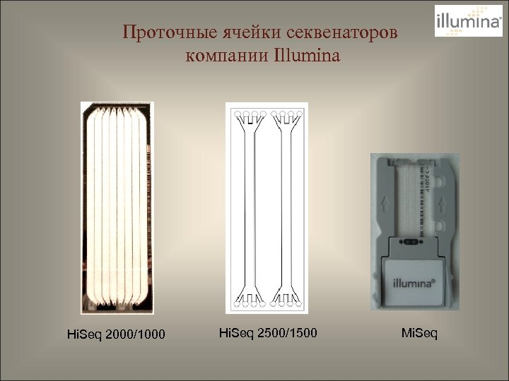 Проточные ячейки секвенаторов компании Illumina Hi. Seq 2000/1000 Hi. Seq 2500/1500 Mi. Seq 