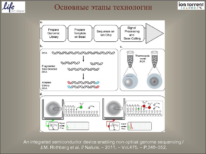 Основные этапы технологии An integrated semiconductor device enabling non-optical genome sequencing / J. M.