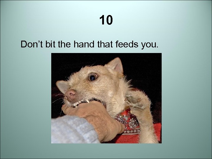 10 Don’t bit the hand that feeds you. 