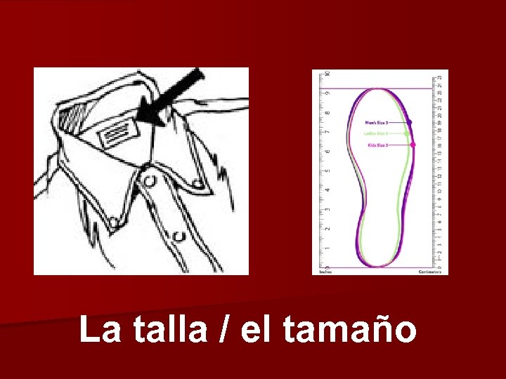 La talla / el tamaño 