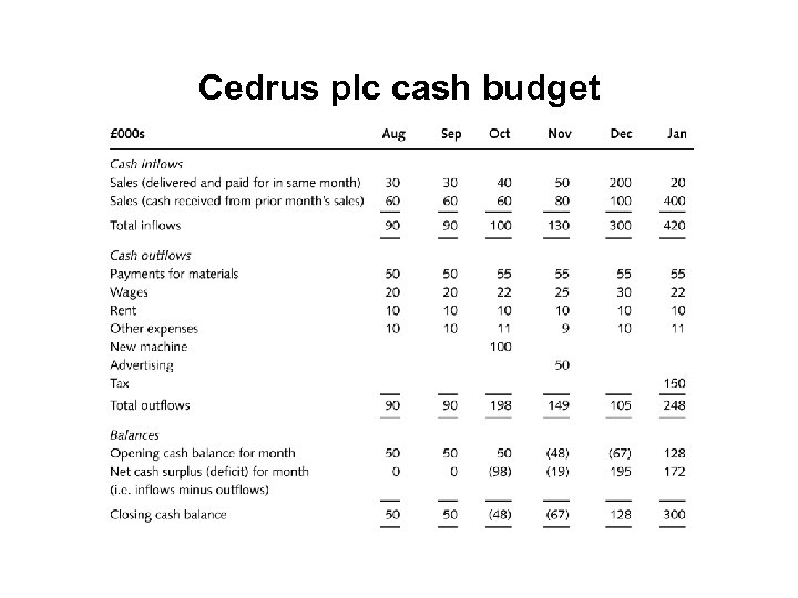 Cedrus plc cash budget 