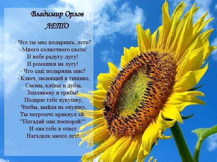 Владимир Орлов ЛЕТО - Что ты мне подаришь, лето? - Много солнечного света! В