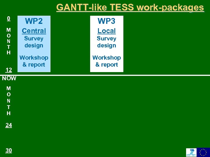 GANTT-like TESS work-packages 0 WP 2 WP 3 M O N T H Central