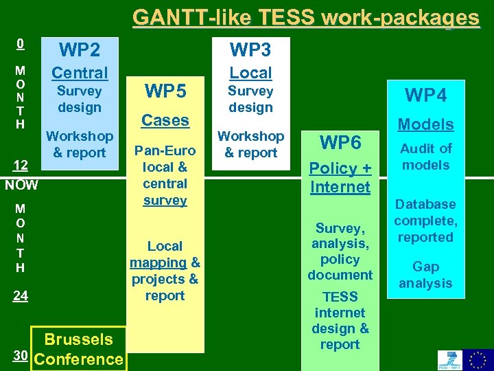 GANTT-like TESS work-packages 0 WP 2 WP 3 M O N T H Central