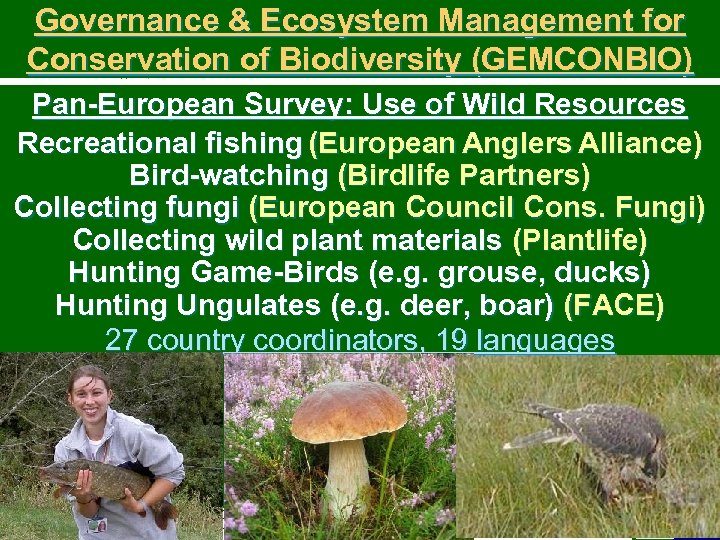 Governance & Ecosystem Management for Conservation of Biodiversity (GEMCONBIO) Pan-European Survey: Use of Wild