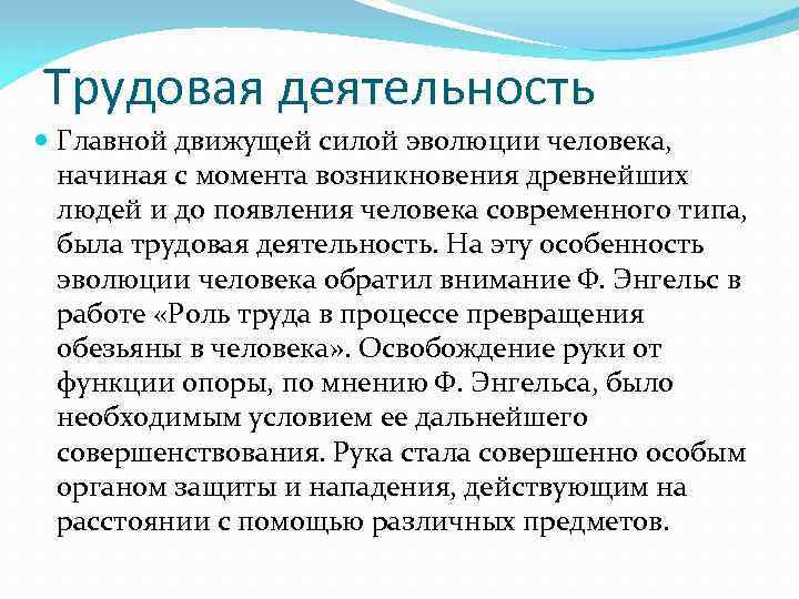 Трудовая деятельность Главной движущей силой эволюции человека, начиная с момента возникновения древнейших людей и