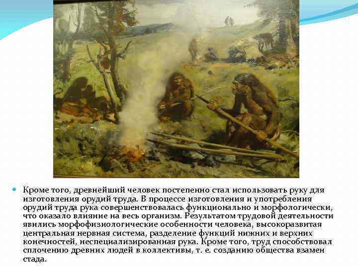  Кроме того, древнейший человек постепенно стал использовать руку для изготовления орудий труда. В