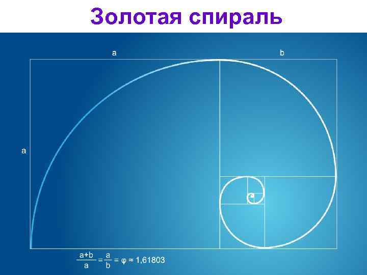 Золотая спираль 