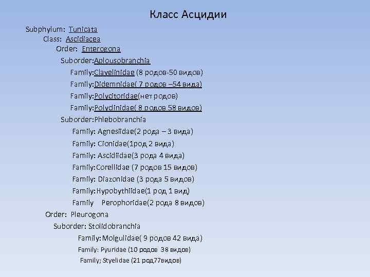 Класс Асцидии Subphylum: Tunicata Class: Ascidiacea Order: Enterogona Suborder: Aplousobranchia Family: Clavelinidae (8 родов-50