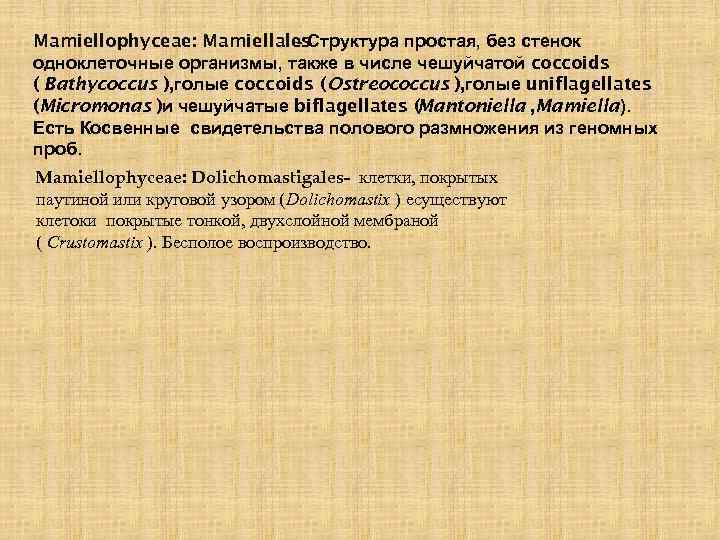 Mamiellophyceae: Mamiellales - Структура простая, без стенок одноклеточные организмы, также в числе чешуйчатой coccoids