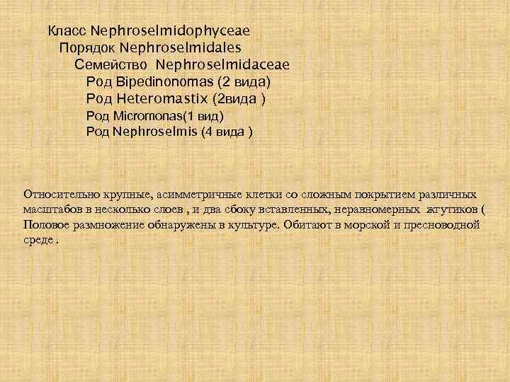 Класс Nephroselmidophyceae Порядок Nephroselmidales Семейство Nephroselmidaceae Род Bipedinonomas (2 вида) Род Heteromastix (2 вида