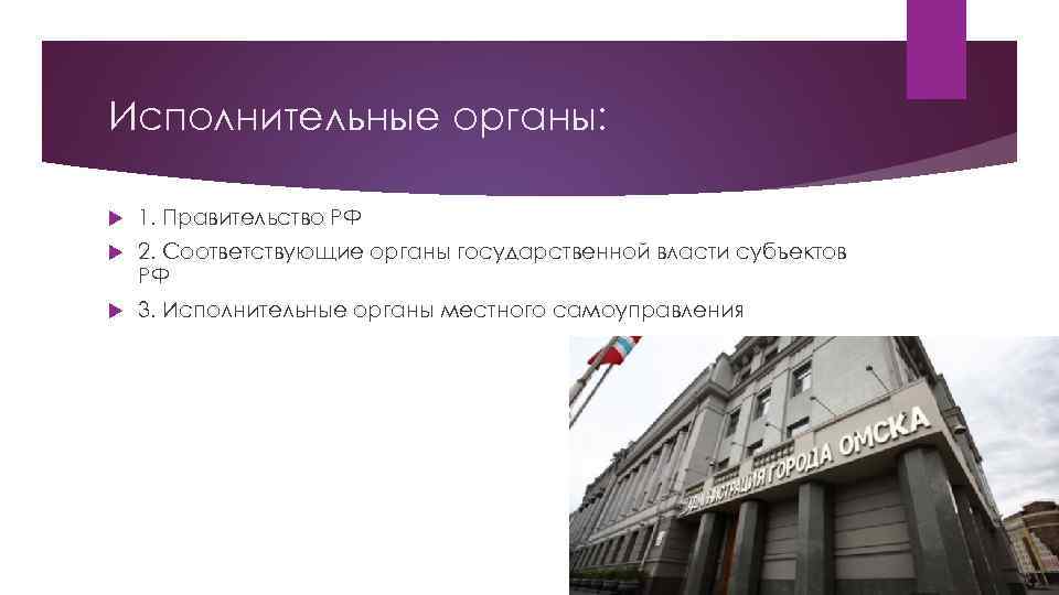 Исполнительные органы: 1. Правительство РФ 2. Соответствующие органы государственной власти субъектов РФ 3. Исполнительные