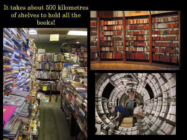 It takes about 500 kilometres of shelves to hold all the books! 