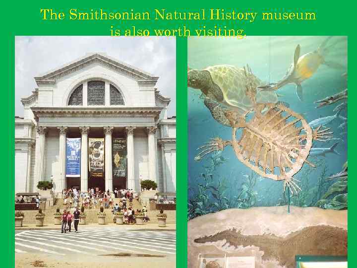 The Smithsonian Natural History museum is also worth visiting. 