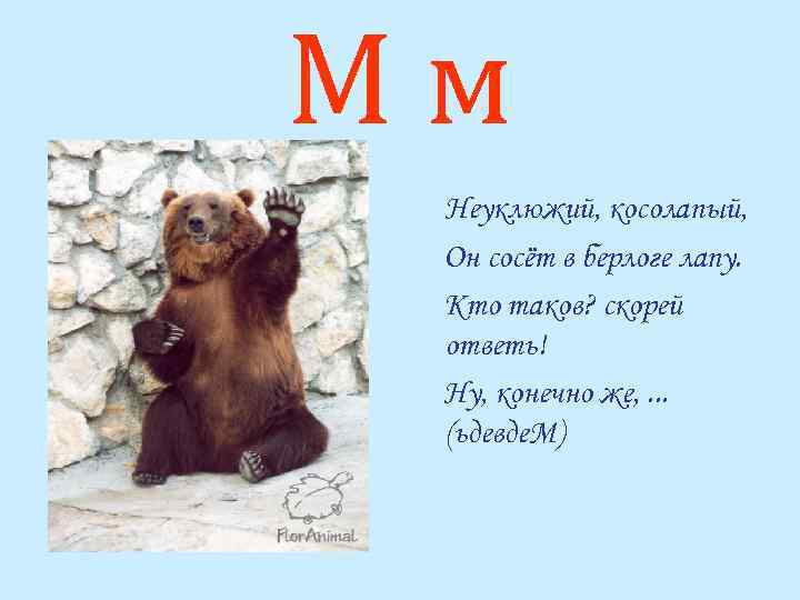 Мм Неуклюжий, косолапый, Он сосёт в берлоге лапу. Кто таков? скорей ответь! Ну, конечно